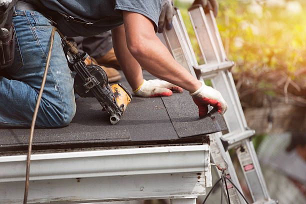 Best Roof Maintenance Services  in Sheffield Lake, OH
